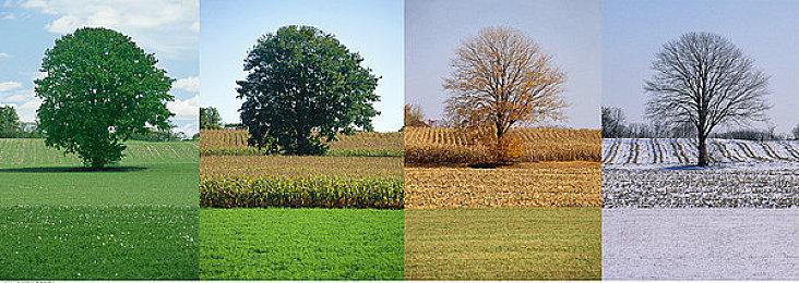 《无限机兵》媒体赞誉片发布 DLC确认正在制作